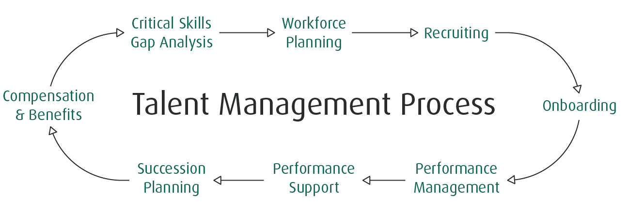 HR talent management software – do I need it? The example of SkillMatrix 3 Talent management process