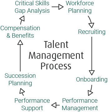Talent management process