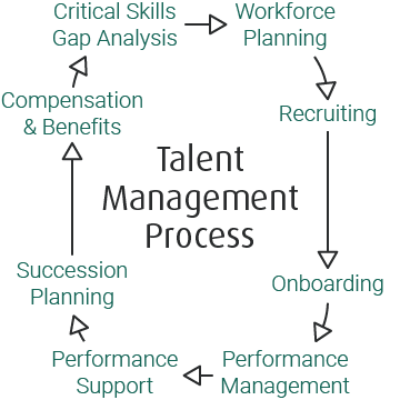 HR talent management software – do I need it? The example of SkillMatrix 4 Talent management process