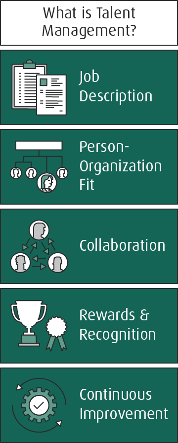 HR talent management software – do I need it? The example of SkillMatrix 2 Talent management