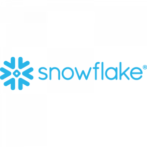 Partners snowflake 1